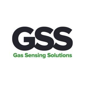 GSS logo